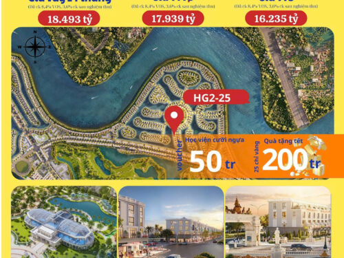 Biệt thự Song Lập Hoàng Gia 2-25 Vinhomes Vũ Yên